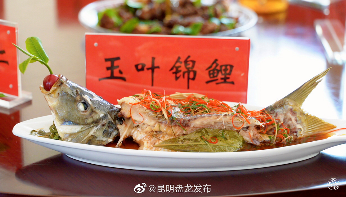 昆明盘龙发布
