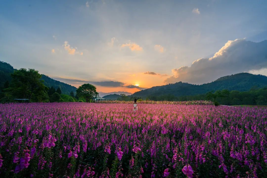清风腾冲