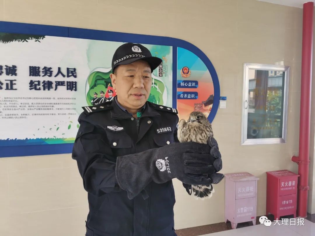 大理日报