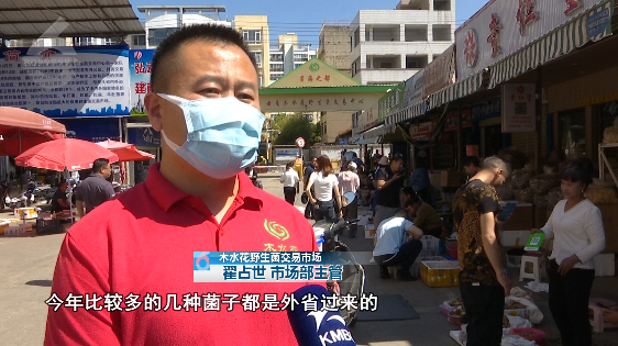 春城晚报