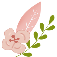 云南政法