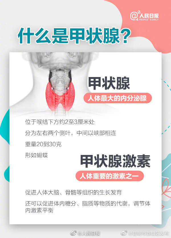 昆明市西山区发布