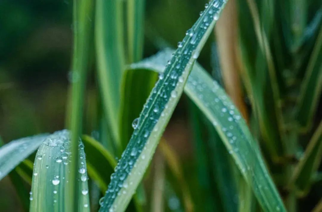 晋宁诗意的栖居地