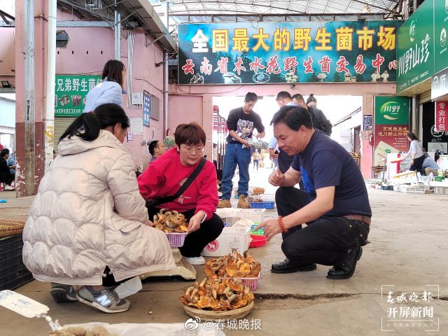 春城晚报