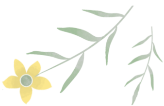 云南省中医医院