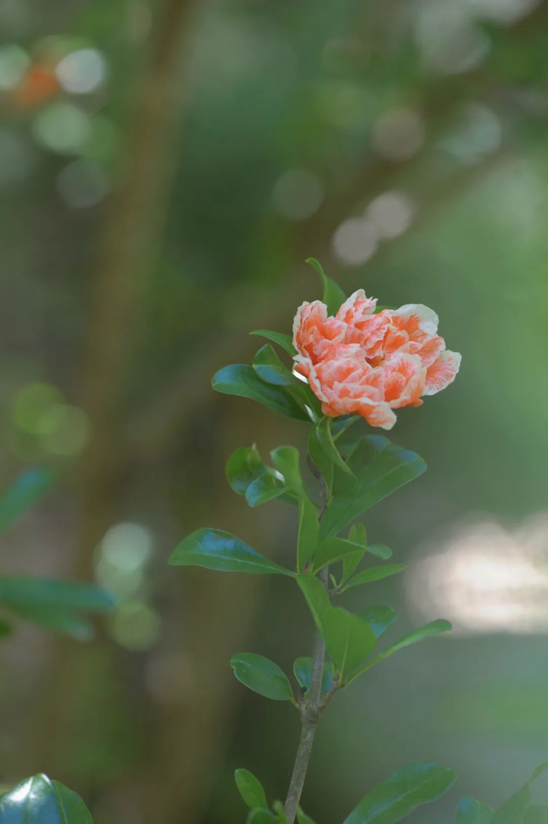 昆明市金殿名胜区