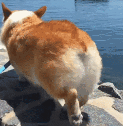 昆明市西山区发布