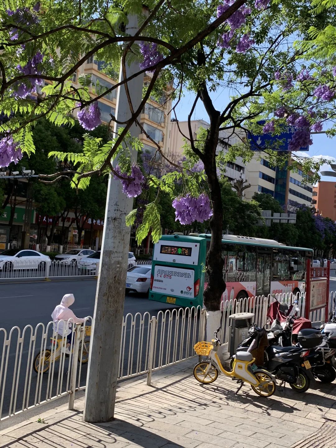 春城晚报