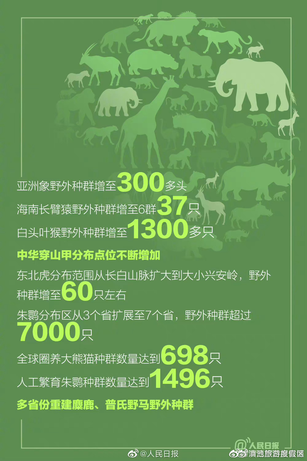 赞！我国重点保护野生动植物种群持续恢复