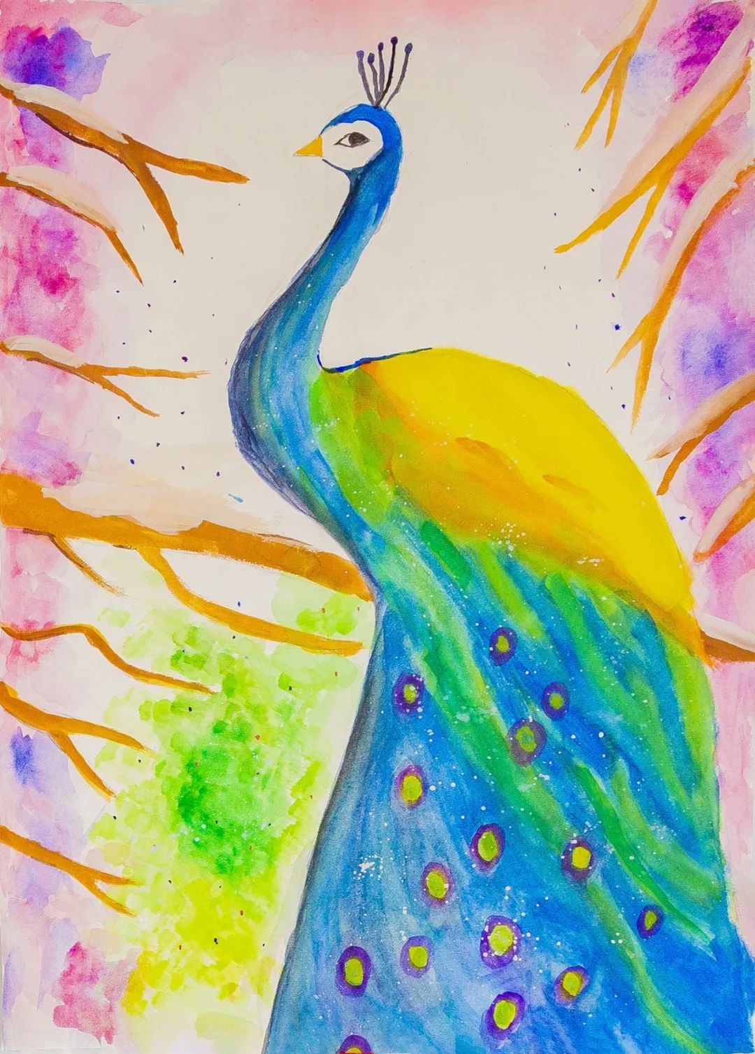 云南野生动物园