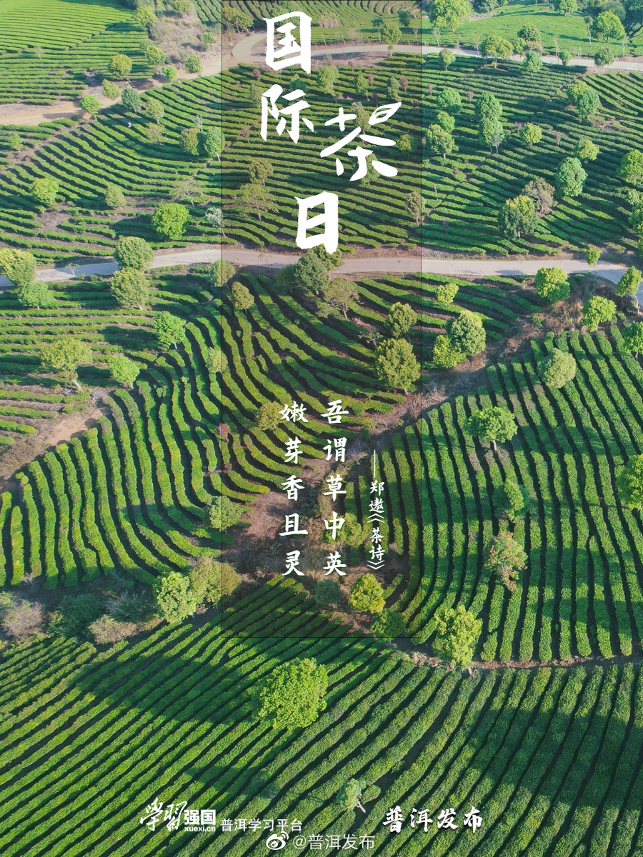 普洱发布