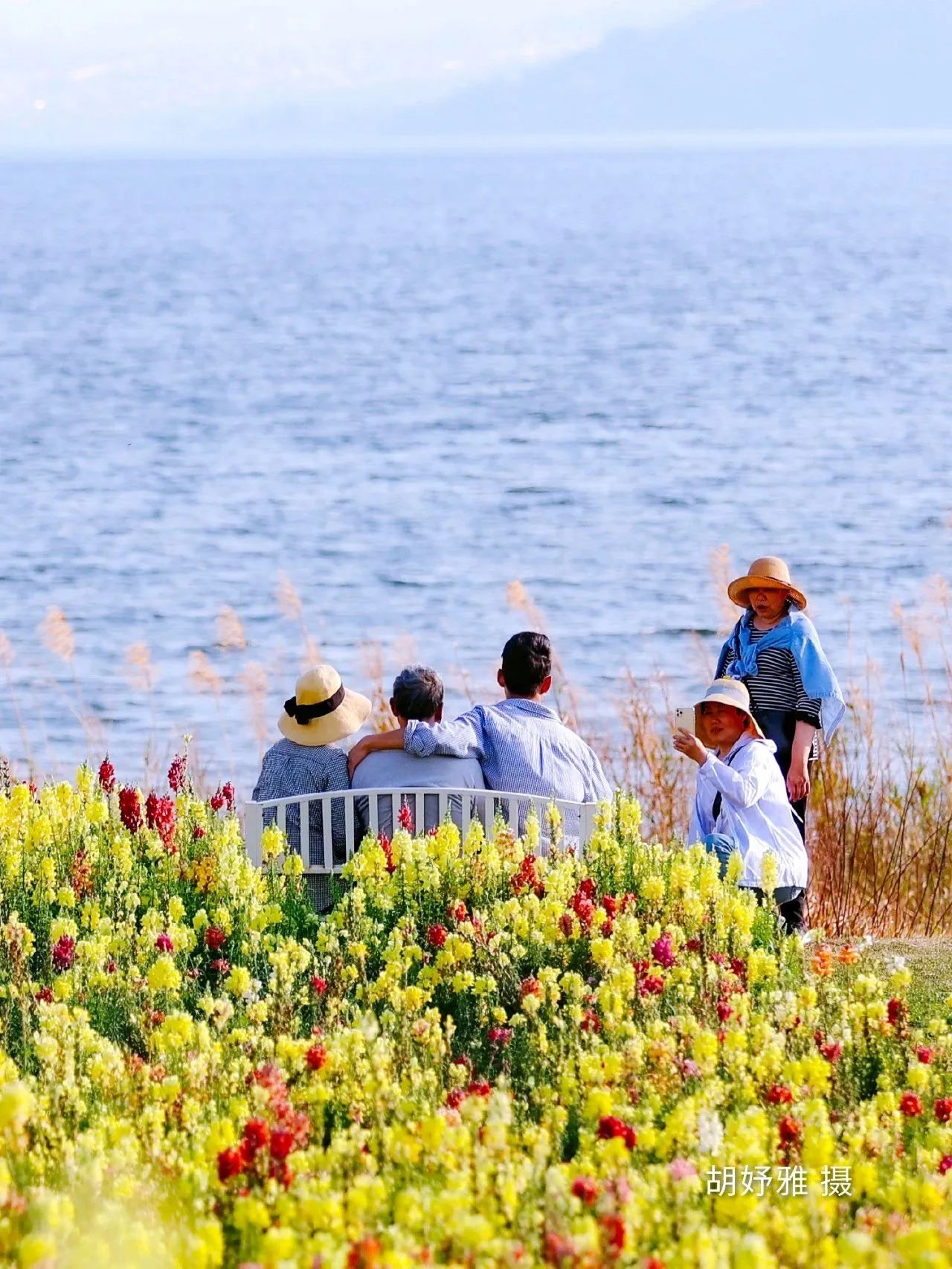 云南省文化和旅游厅
