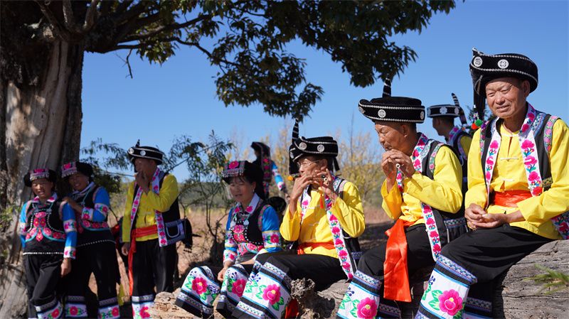 云南省文化和旅游厅