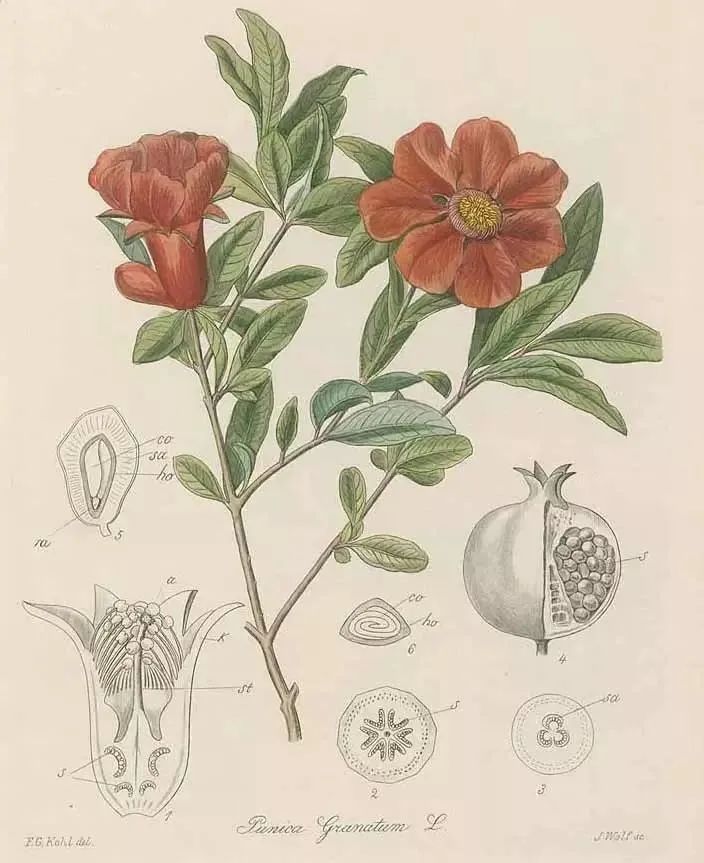 昆明市金殿名胜区