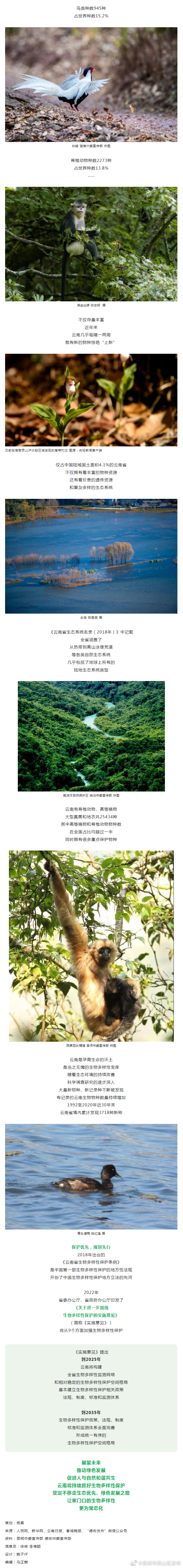 昆明市西山区发布