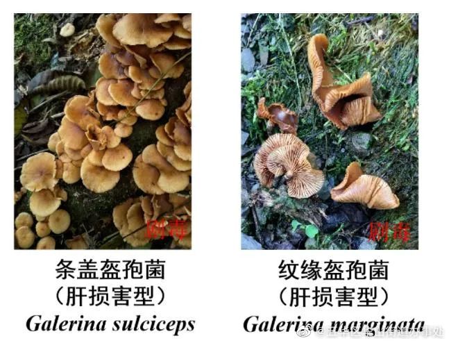 五华区华山街道办事处