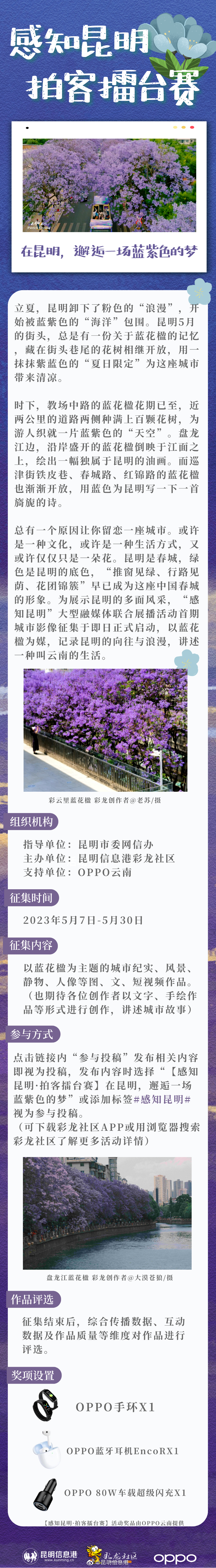 感知昆明 拍客擂台赛丨在昆明，邂逅一场蓝紫色的梦