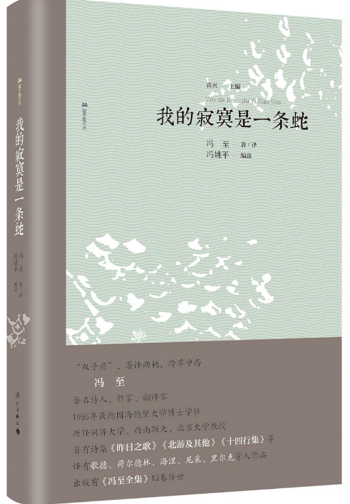 好书推荐:《我的寂寞是一条蛇》