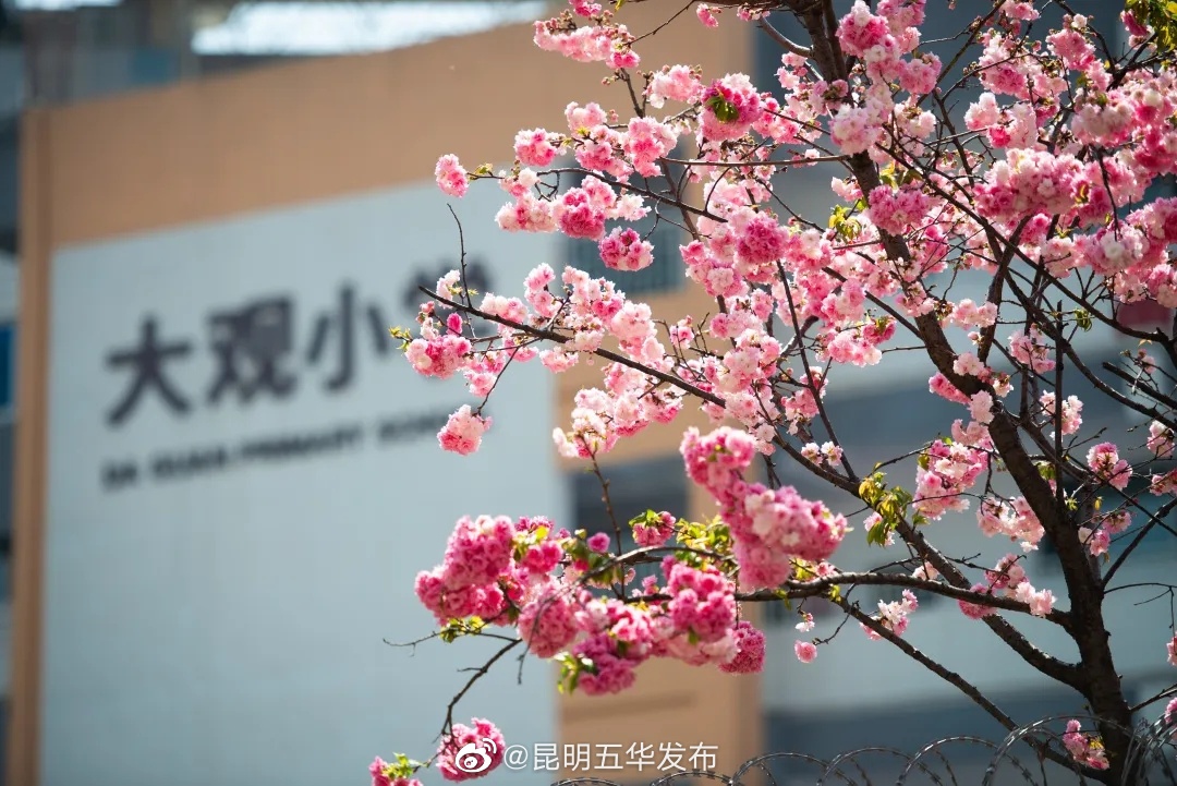 昆明五华发布