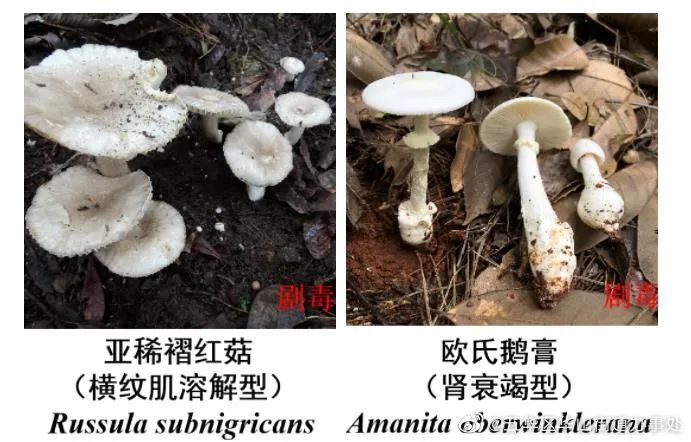 五华区华山街道办事处