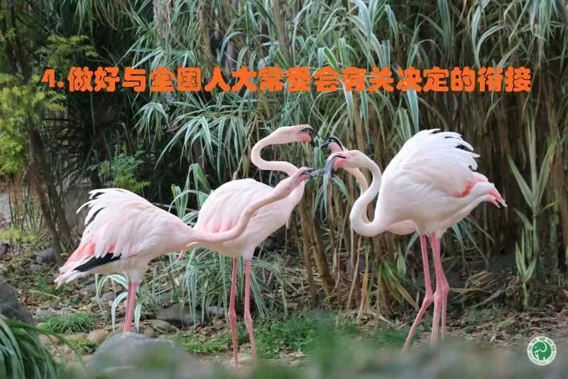 昆明动物园