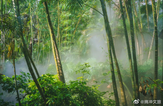腾冲文旅