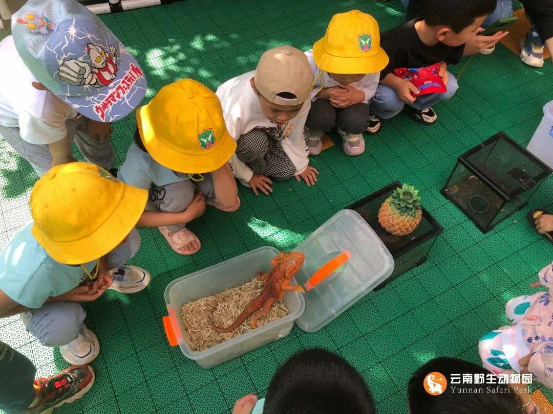 云南野生动物园