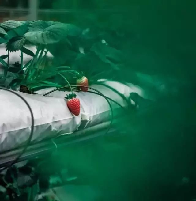 昆明公共文化云