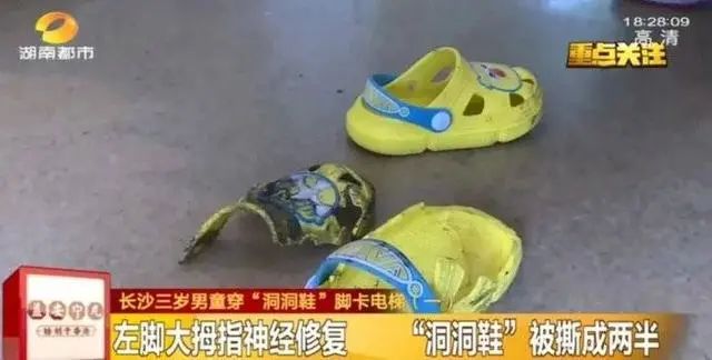 美丽云南微科普
