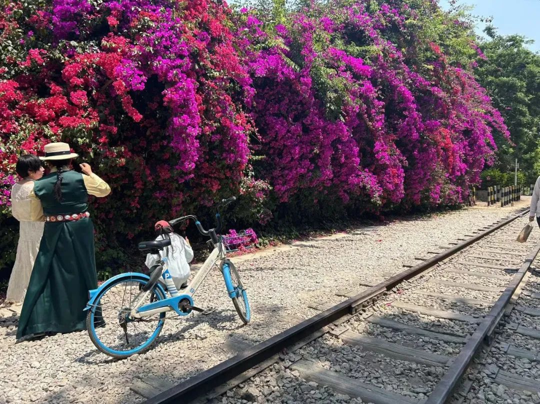 昆明文旅