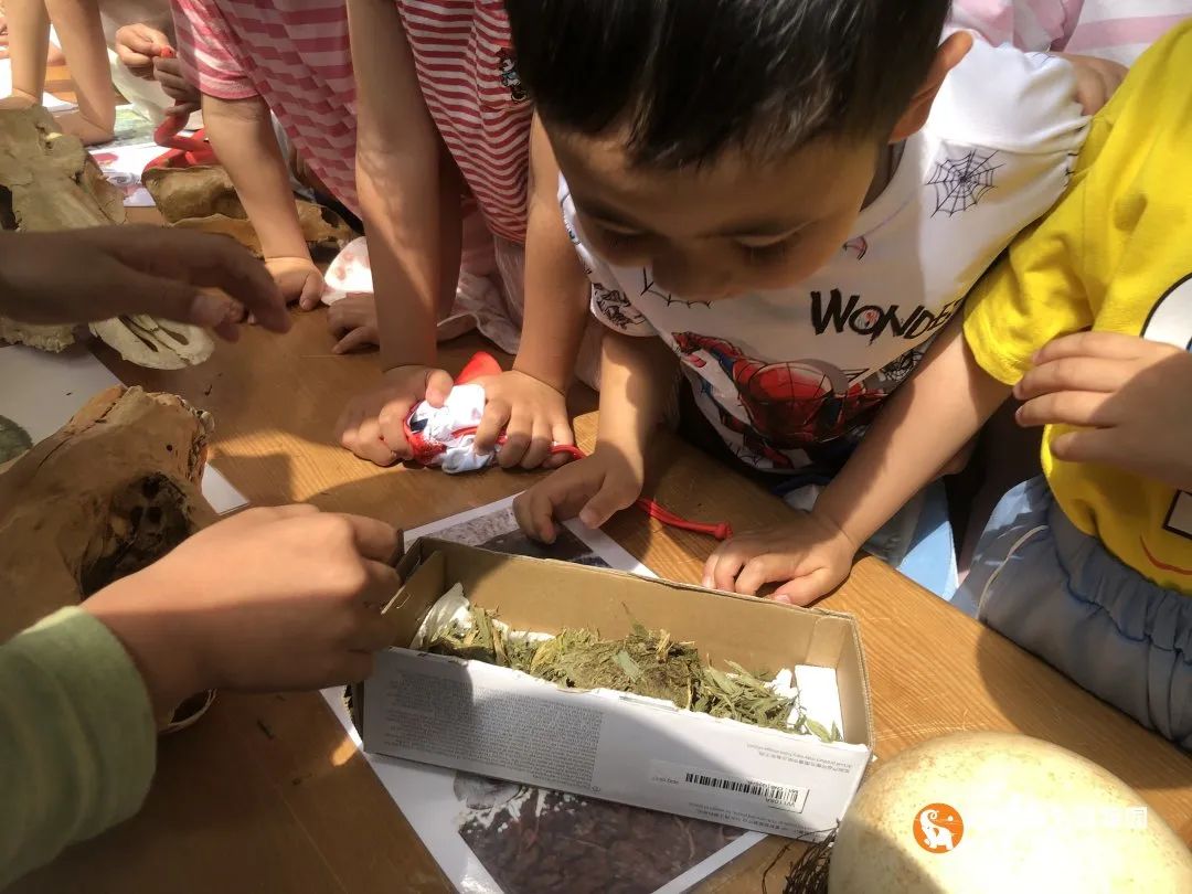 云南野生动物园