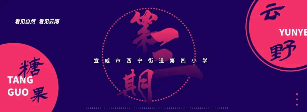 云南野生动物园