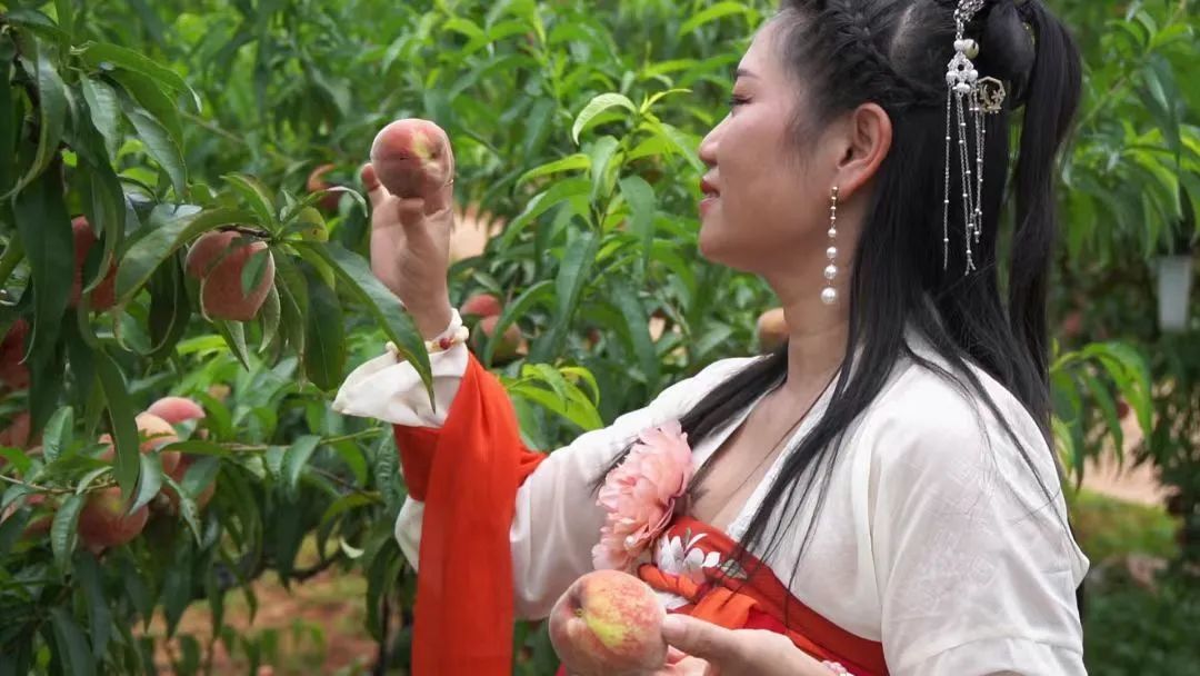 石林融媒
