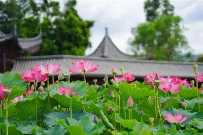 红河文旅