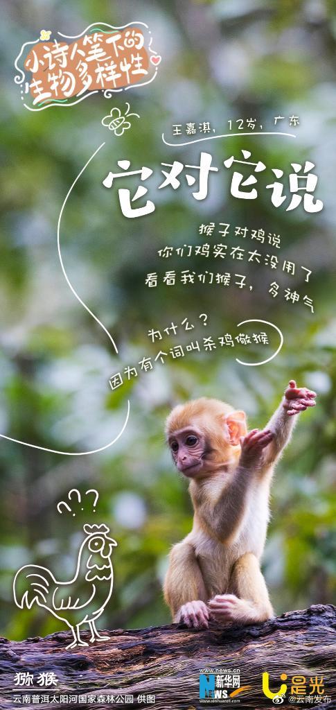 云南发布