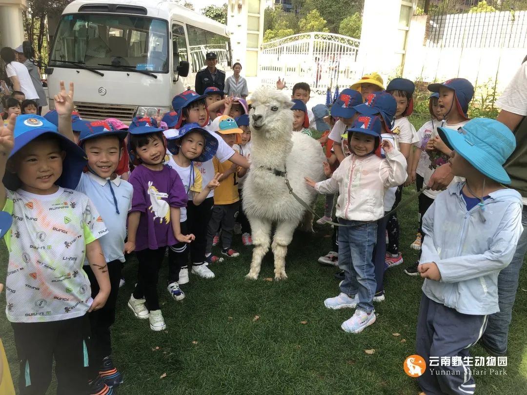 云南野生动物园