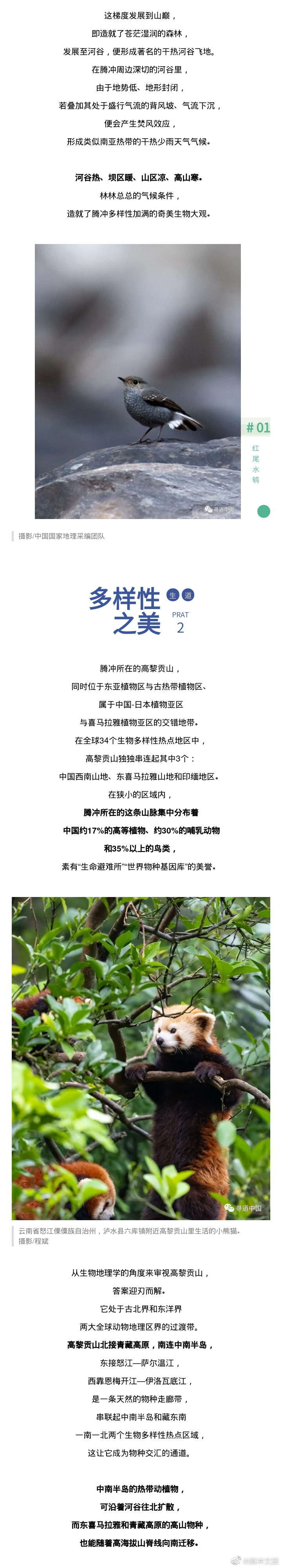 腾冲文旅