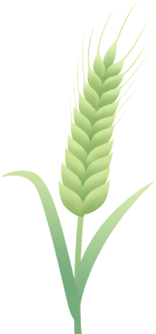 昆明西山发布