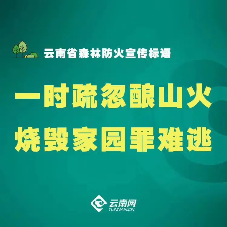 大理日报