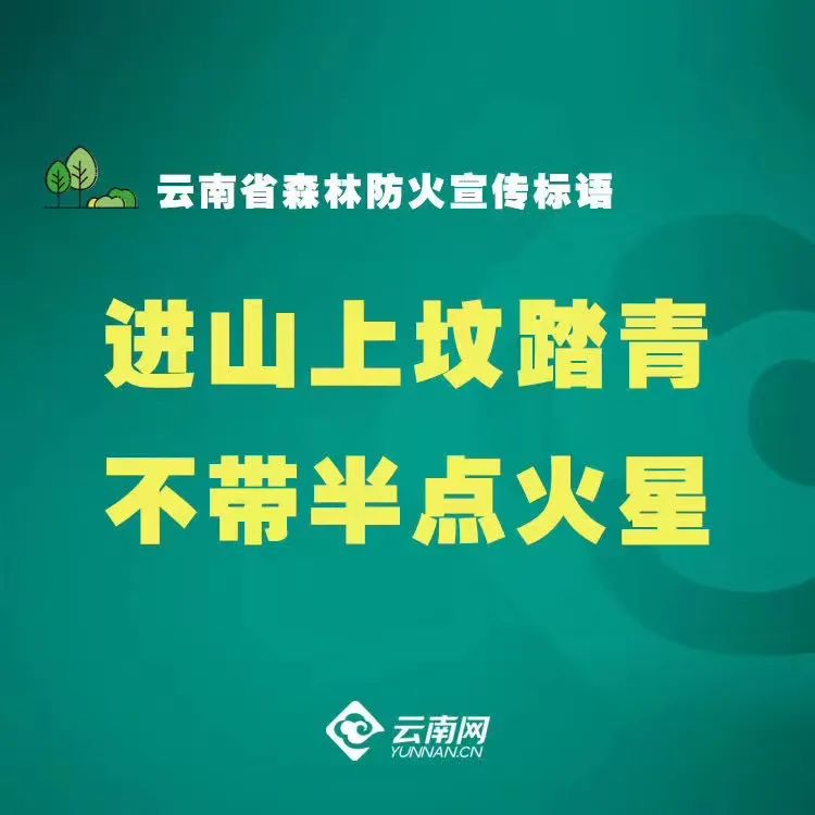 大理日报