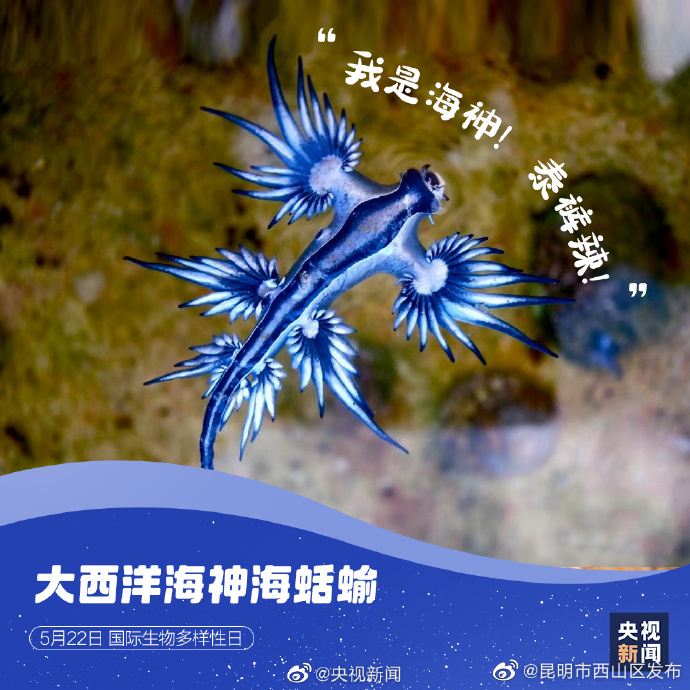 昆明市西山区发布