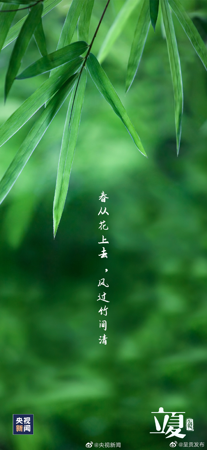 呈贡发布