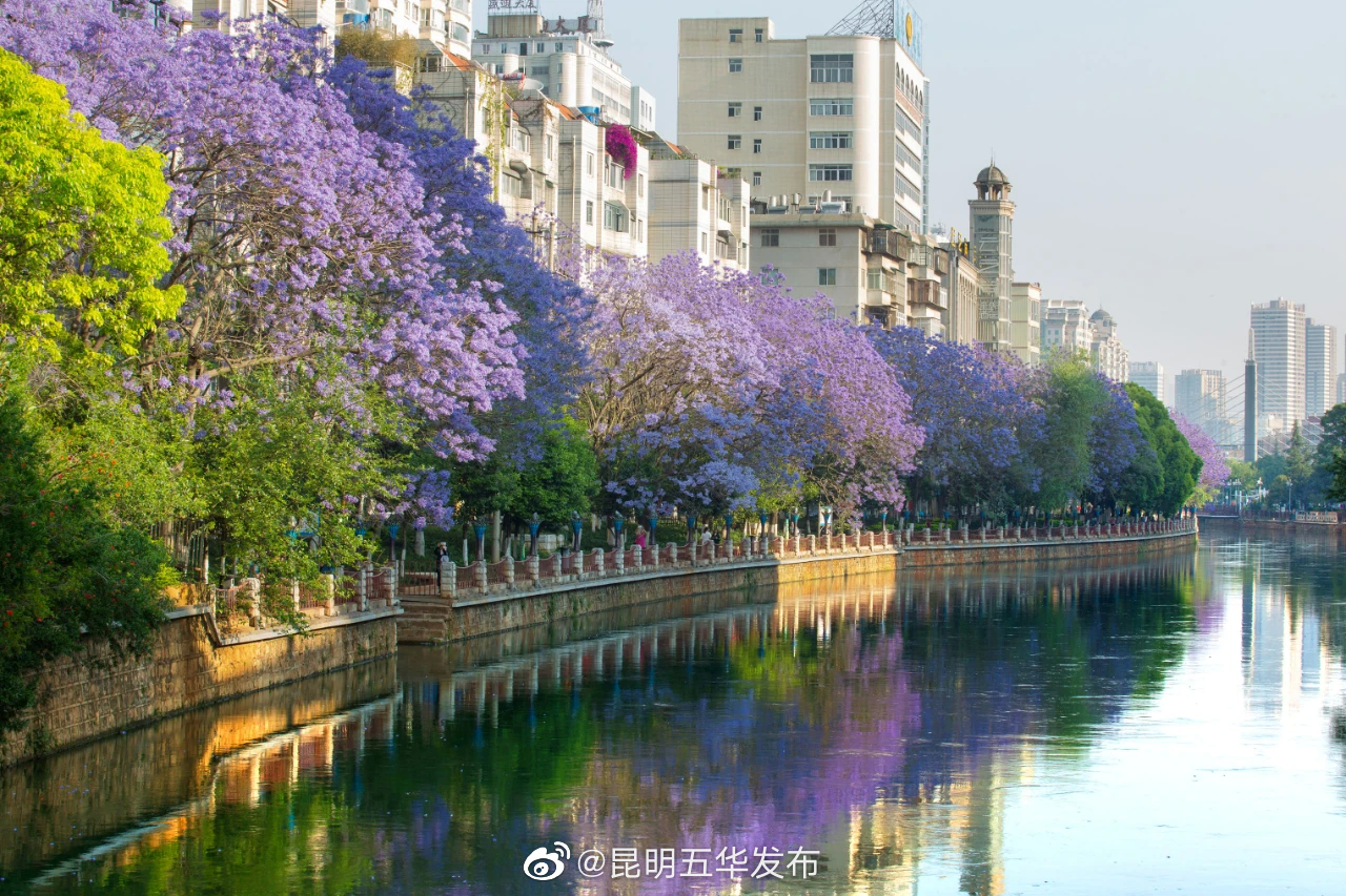 昆明五华发布