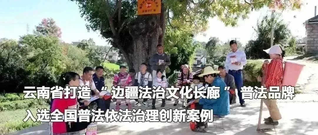 云南政法
