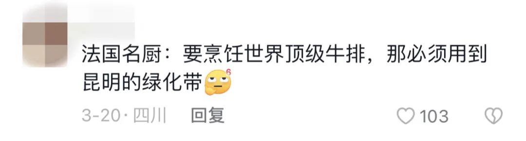 掌上春城