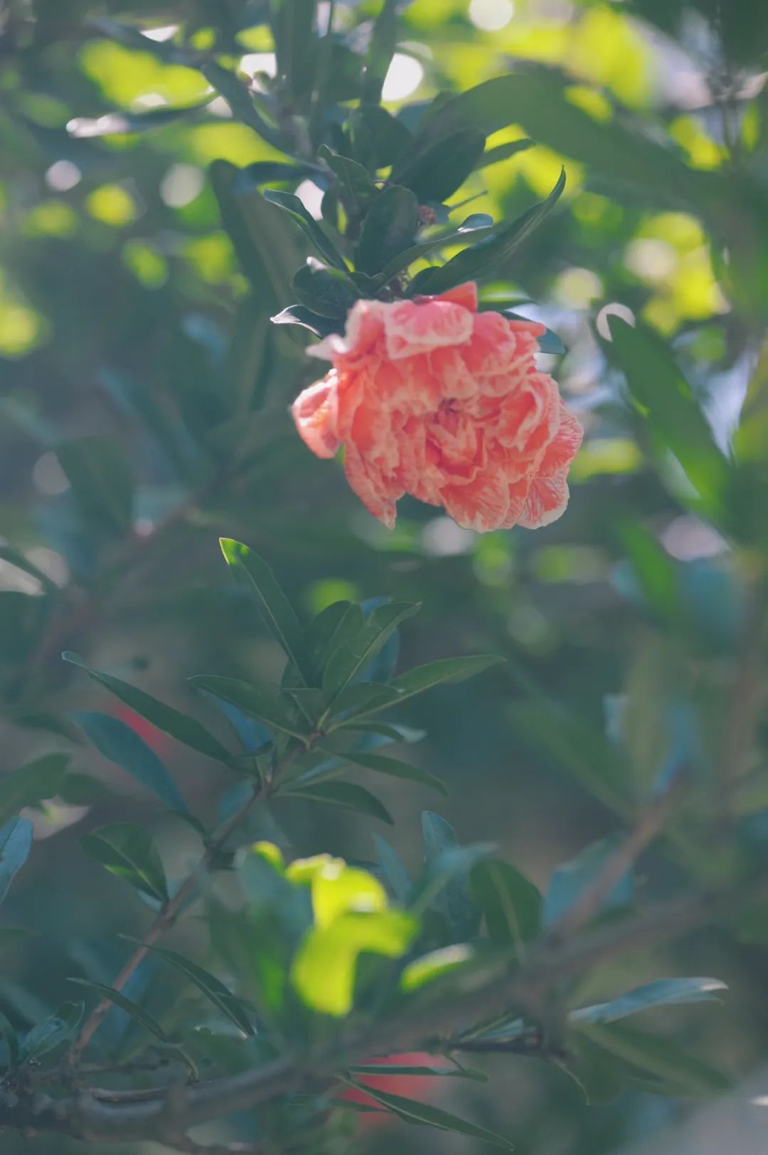 昆明市金殿名胜区