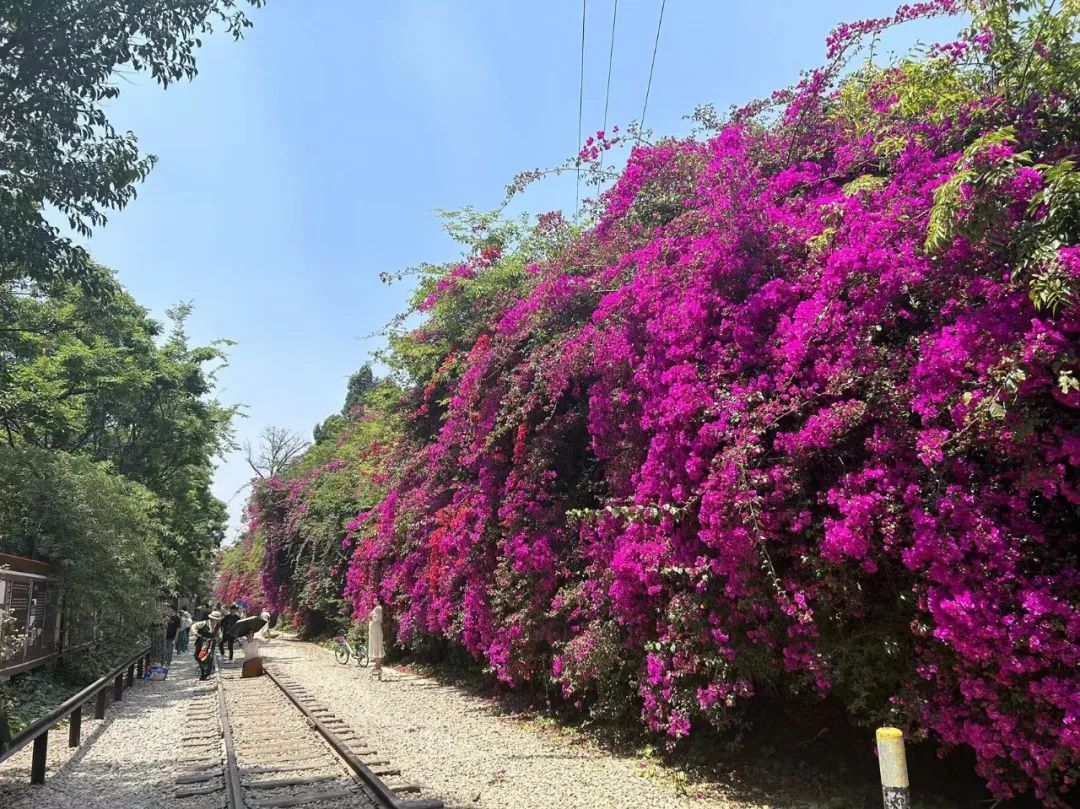 昆明文旅