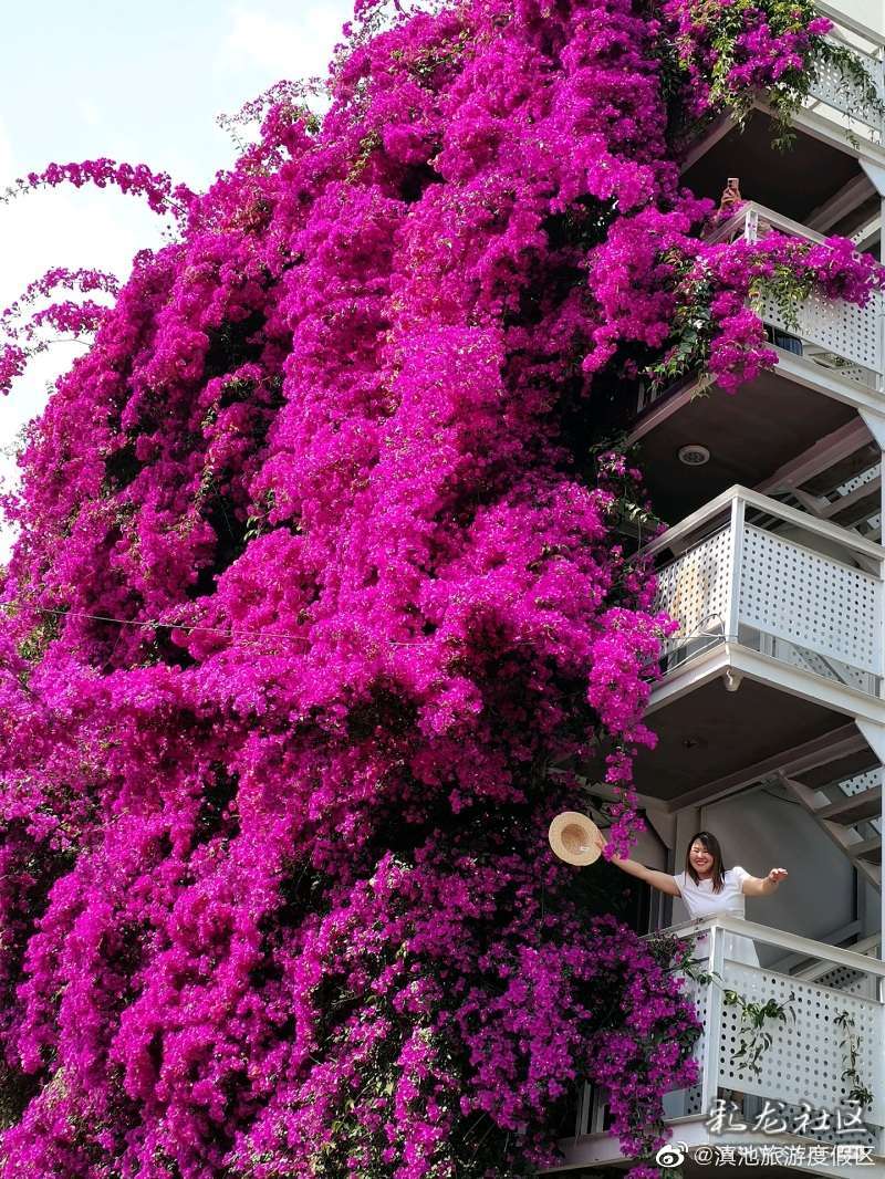 滇池旅游度假区