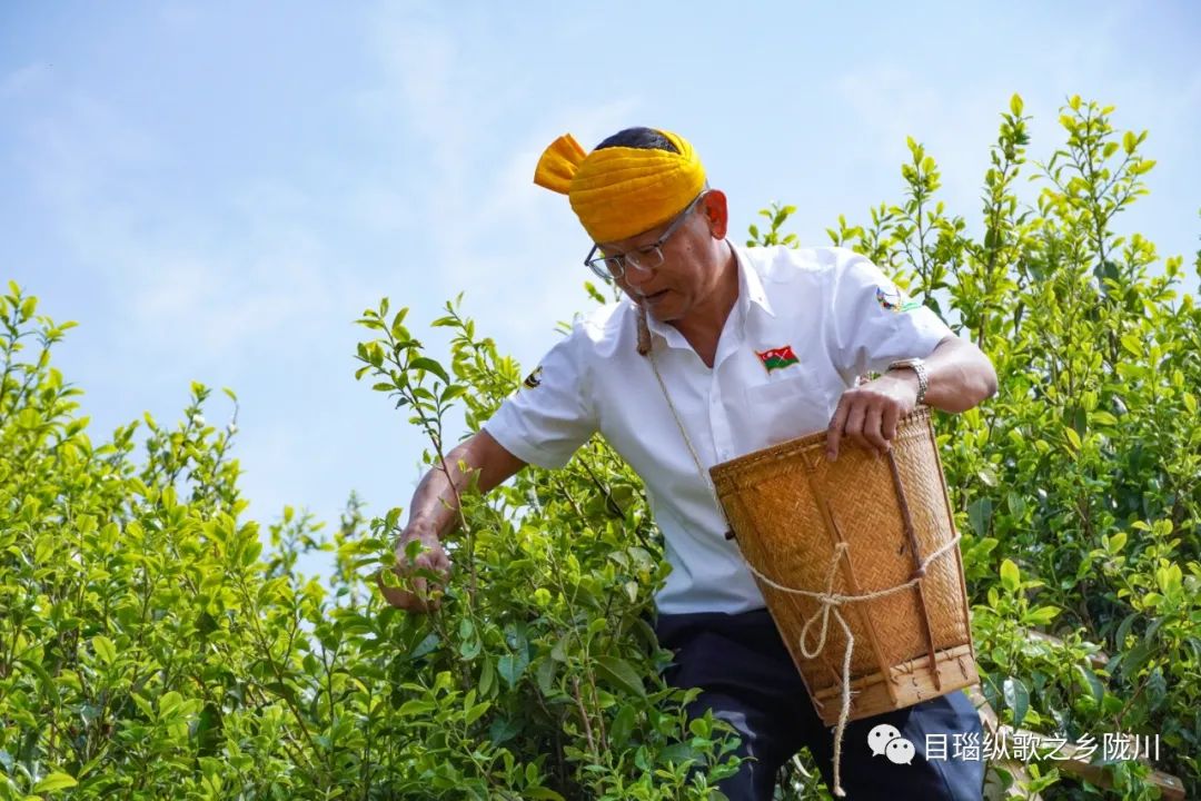 德宏团结报