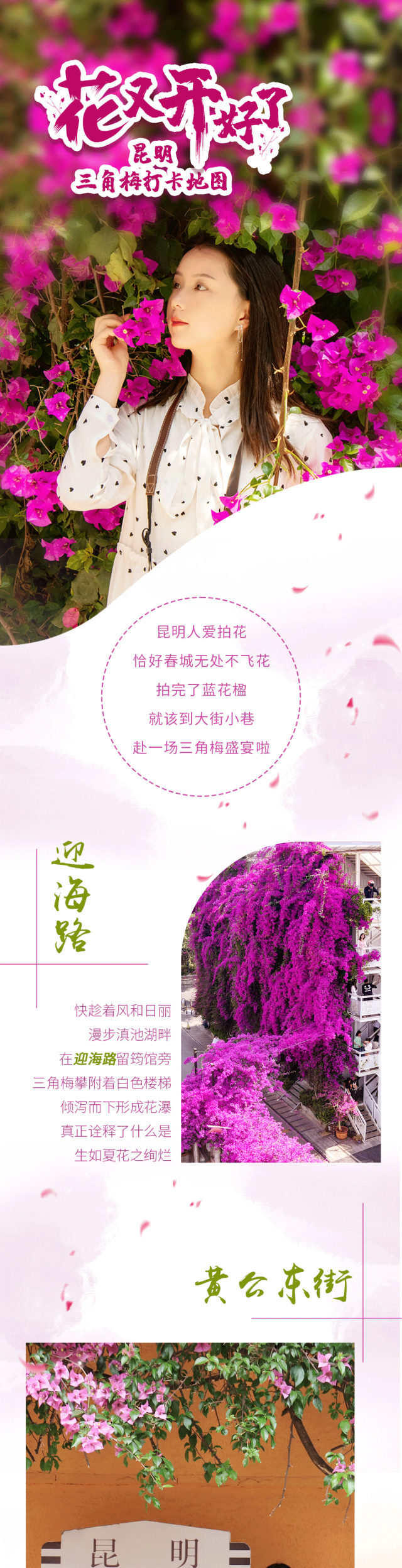 盘龙统战